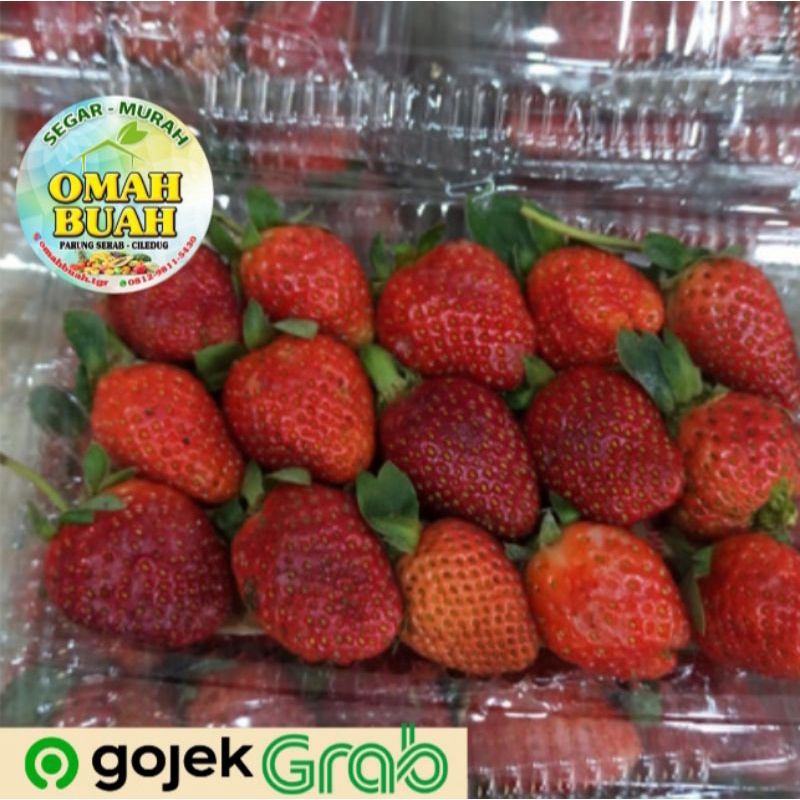 Jual Buah Strawberry Segar Strawbery Pack | Shopee Indonesia