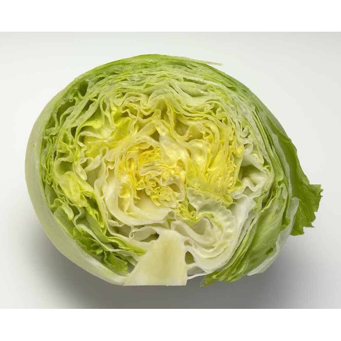 Jual Letuce sayuran letus Lettuce iceberg sayur kebab salad Lotus ...
