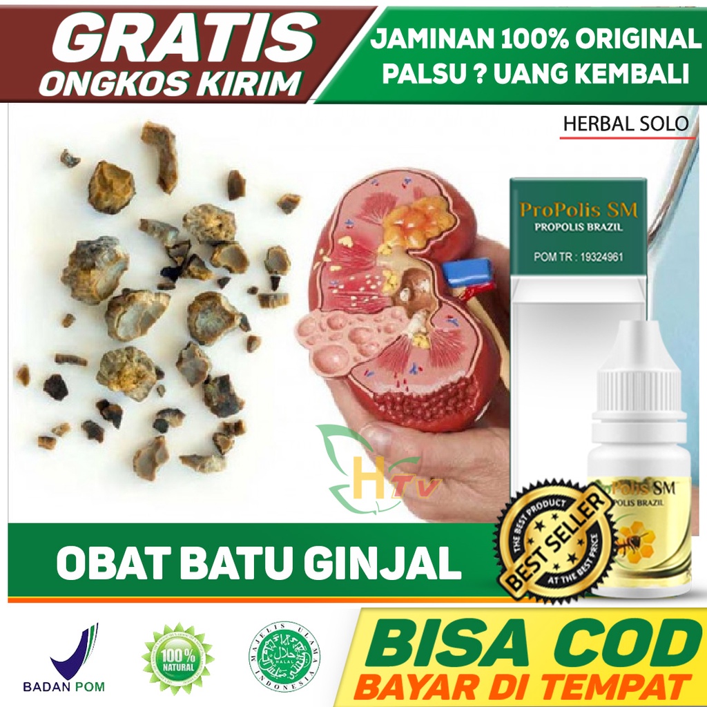 Jual Obat Penghancur Batu Ginjal - Penghancur Batu Empedu - Gagal ...