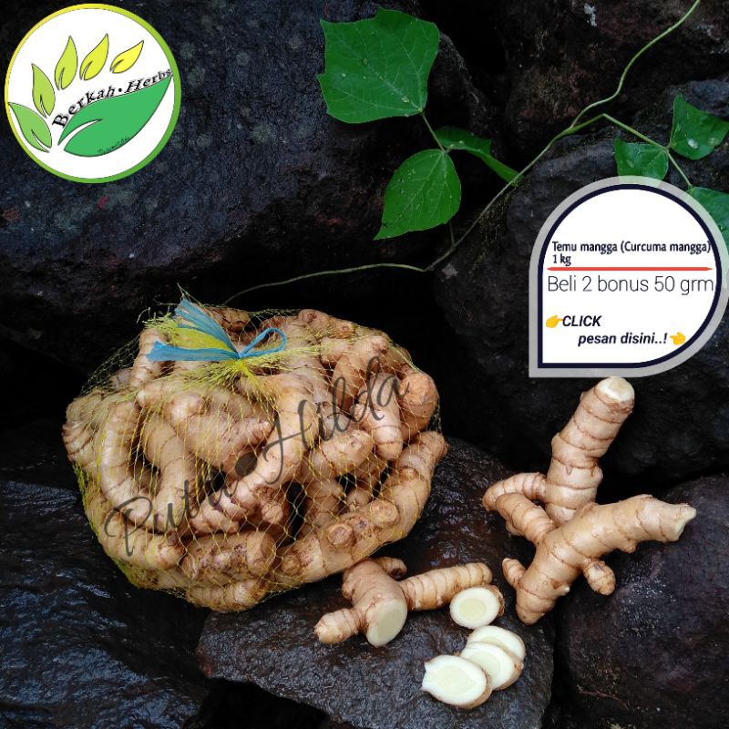 Jual Temu Mangga 1kg Curcuma Mangga Shopee Indonesia 9932