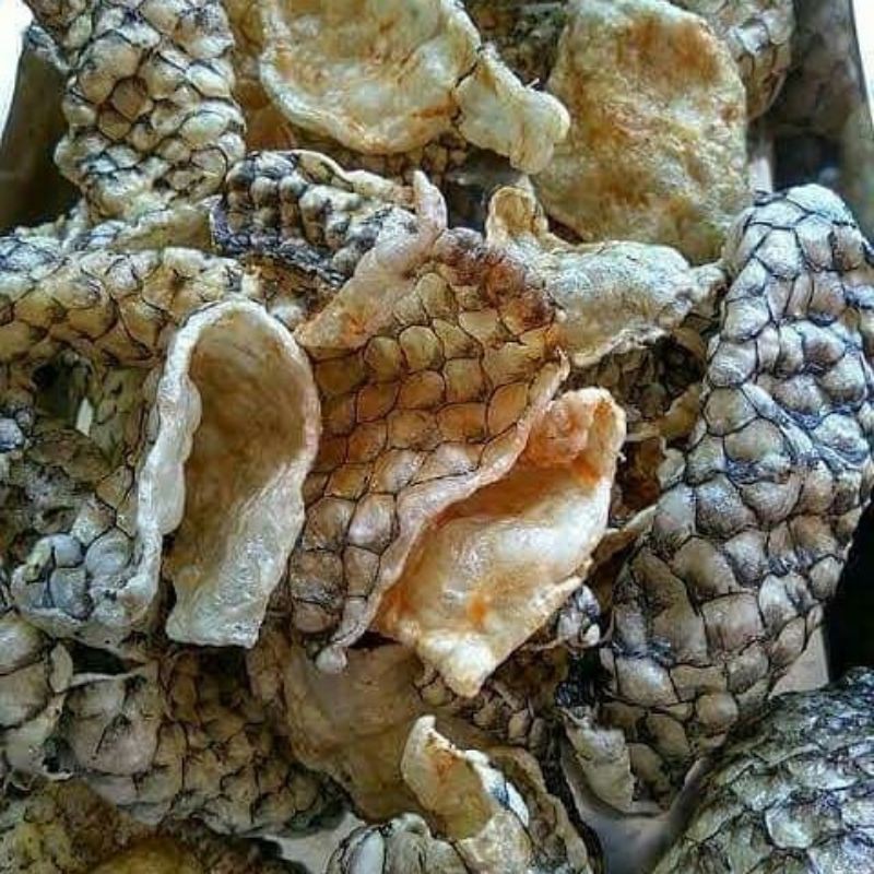 Jual Keripik Kulit Ikan Kakap Shopee Indonesia