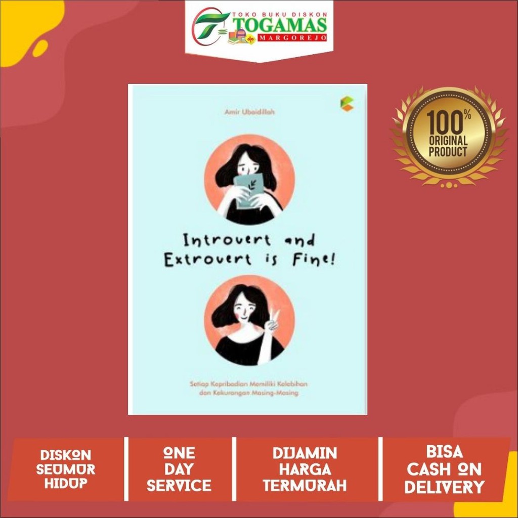 Jual INTROVERT AND EXTROVERT IS FINE ! KARYA AMIR UBAIDILLAH | Shopee ...