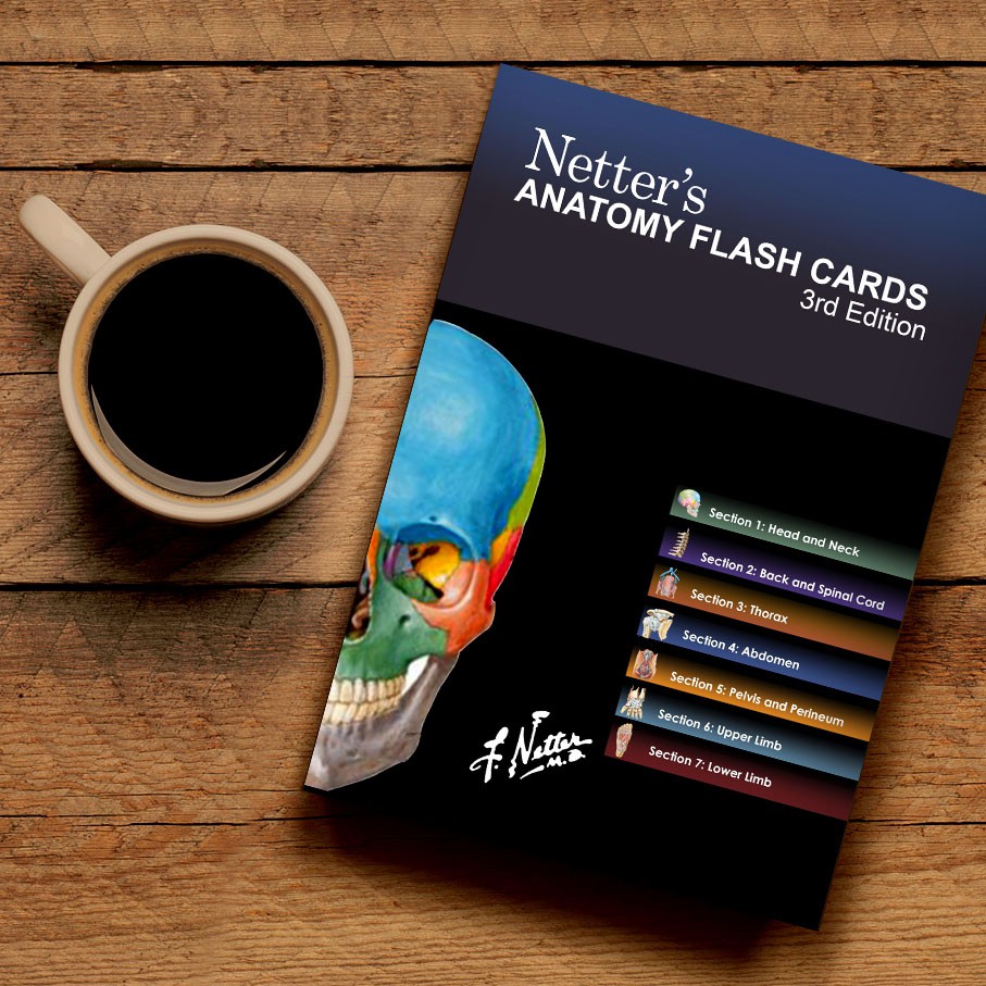 Jual Netter's Anatomy Flash Cards 3rd Edition Shopee Indonesia