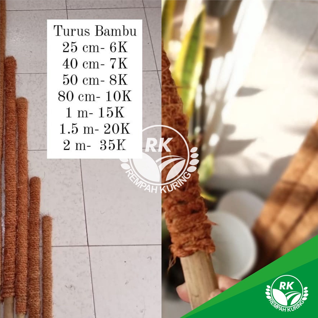 Jual Turus / Rambatan Tanaman Bahan Bambu Dan Sabut Kelapa Ijuk Panjang ...