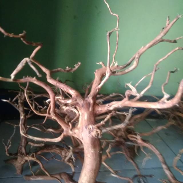 Jual Kayu rasamala | Shopee Indonesia