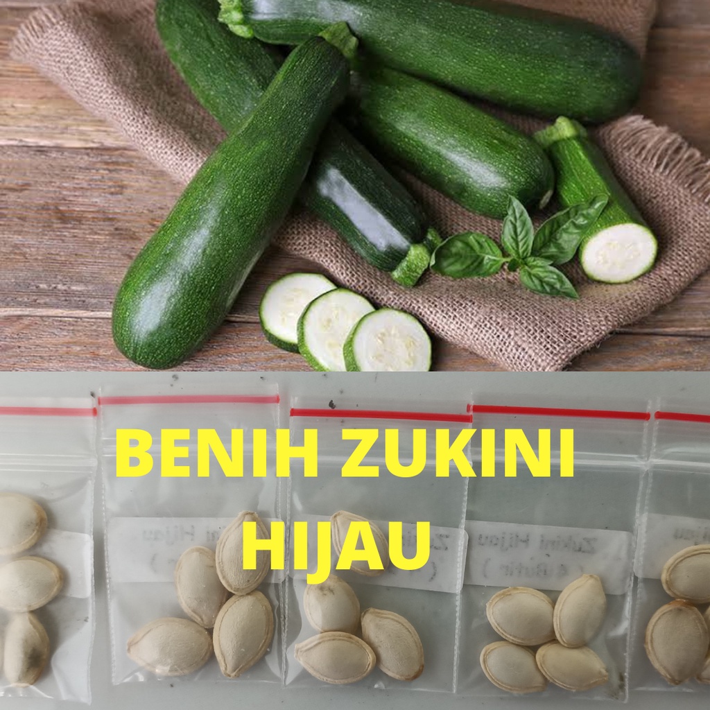 Jual Benih ZUKINI Hijau Kualitas Terbaik | Shopee Indonesia