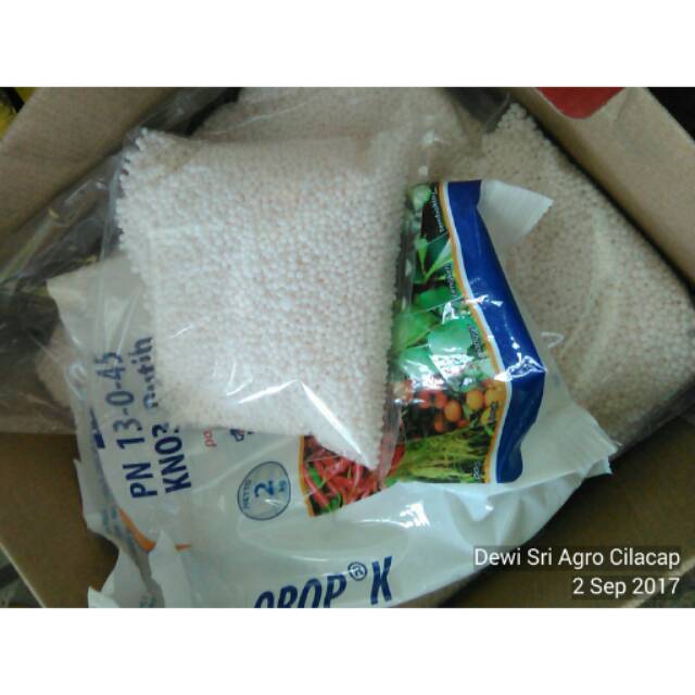 Jual Pupuk KNO3 Putih Repacking 0.5 kg | Shopee Indonesia