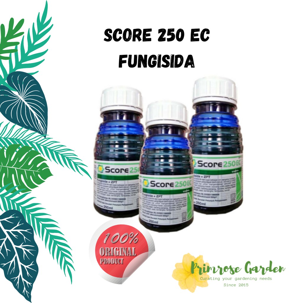 Jual Score 250 EC Fungisida terampuh | Shopee Indonesia