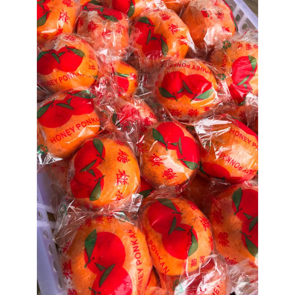 Jual Buah Jeruk Ponkam Manis Jeruk Mandarin Ponkam Per 1 Kg