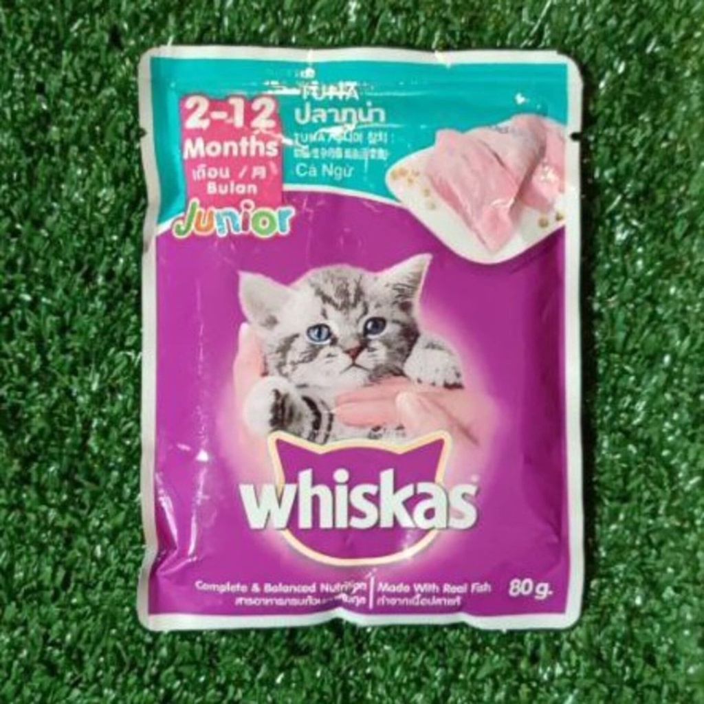 Jual Whiskas Junior Tuna Pouch 80gr 80 gr Makanan Anak Kucing Kitten