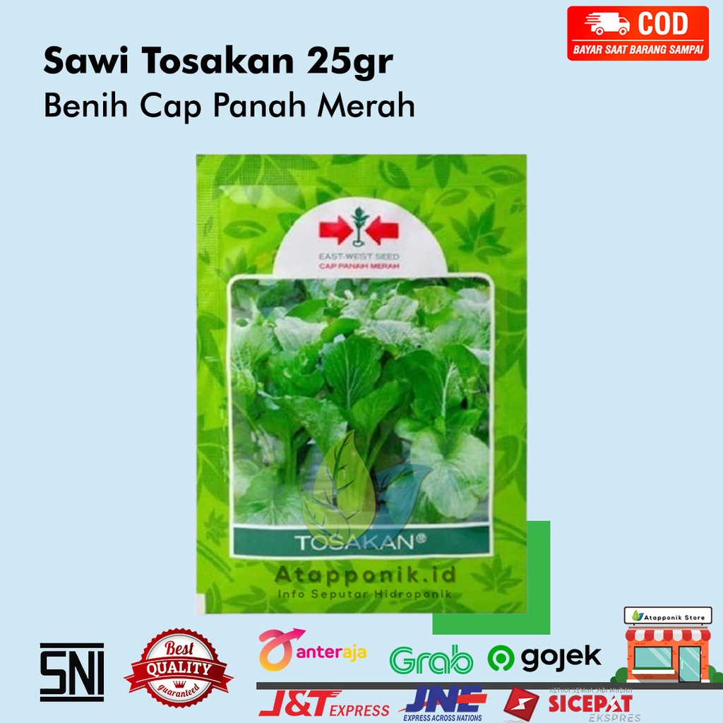 Jual Benih Bibit Sawi Caisim Tosakan 25gr Cap Panah Merah Shopee