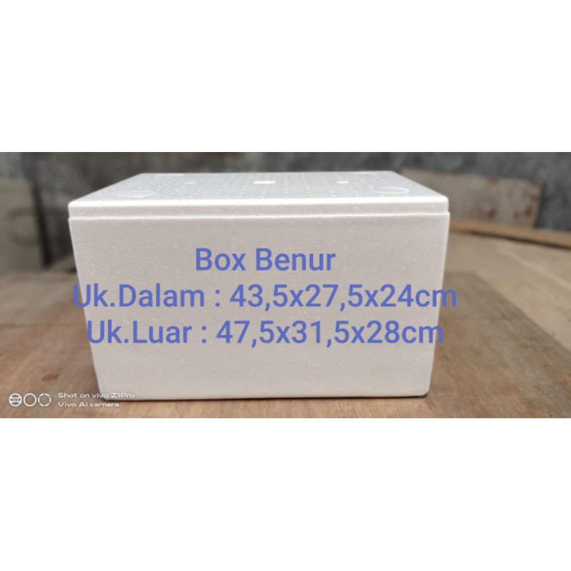 Jual Benur Box Styrofoam Gabus | Shopee Indonesia