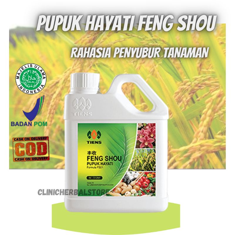 Jual Pupuk Hayati Feng Shou Original Shopee Indonesia