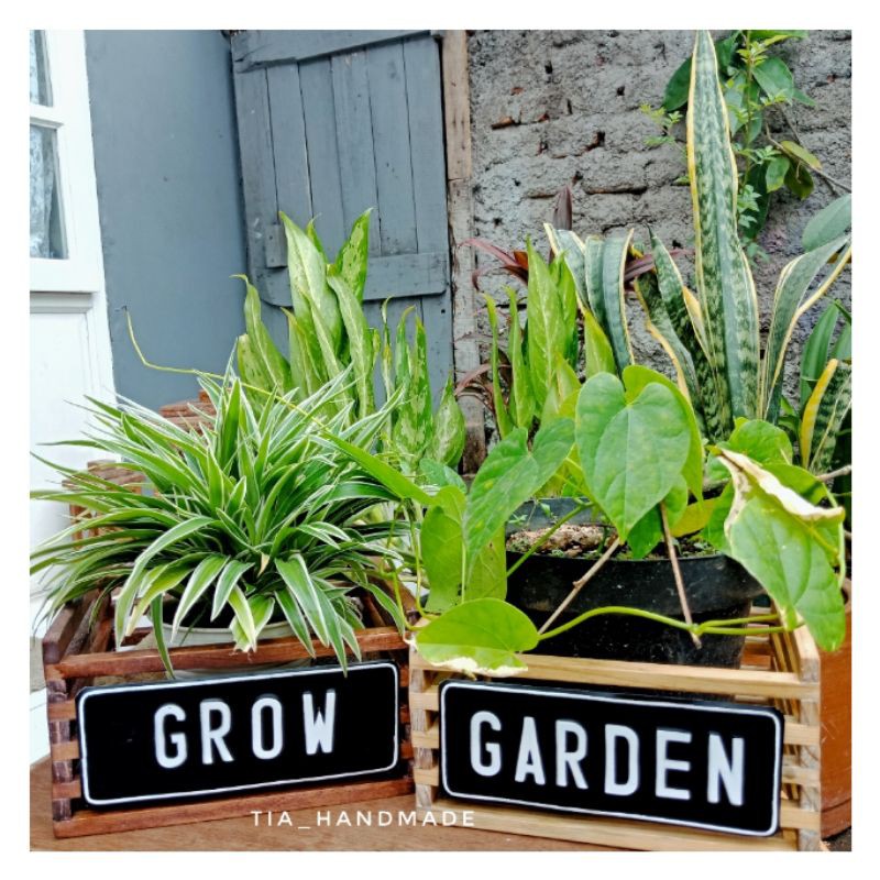 Jual Box farmhouse / Box garden / Box Tanaman | Shopee Indonesia