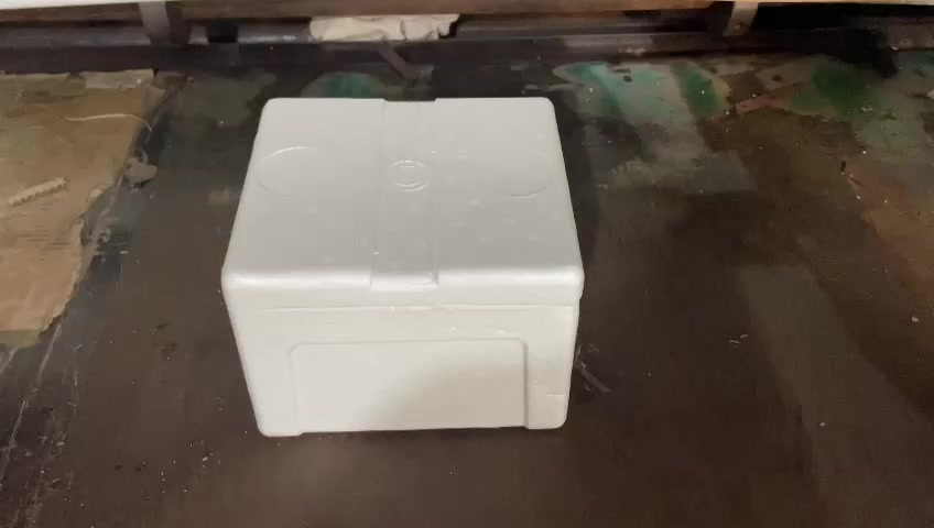 Jual Box Styrofoam Mini 20,5 x 18 x 15cm/Box Ikan/Box Foam/Box Packing ...