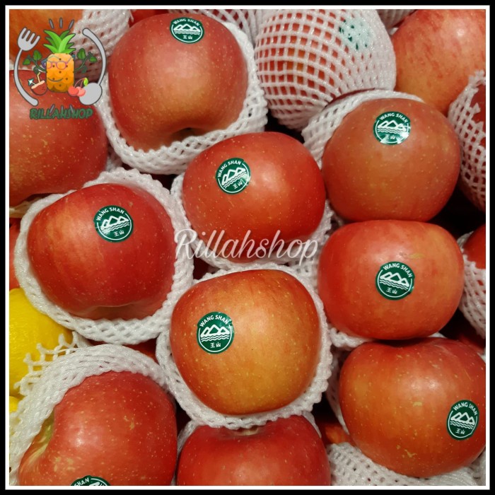 Jual Buah Apel Fuji Wangshan Kualitas Super Kg Shopee Indonesia