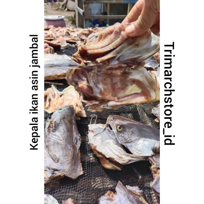 Jual tulang kepala ikan asin jambal roti 1/2kg | Shopee Indonesia