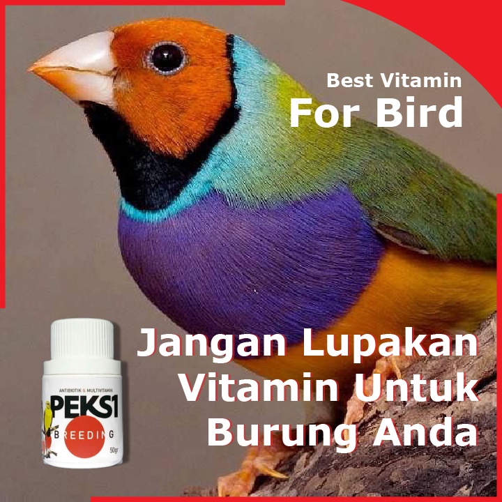 Jual Peksi Multivitamin Burung Breeding sangat cocok untuk semua jenis ...