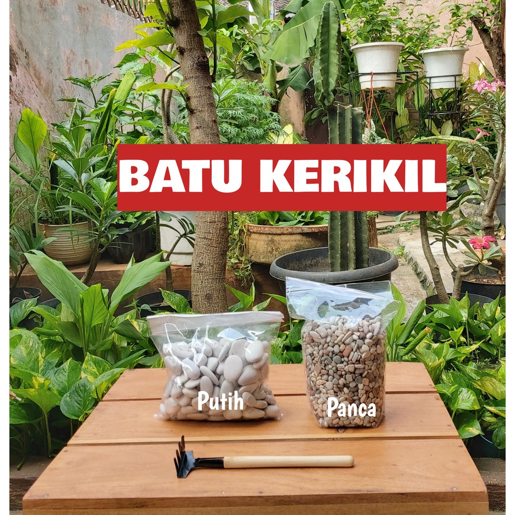 Jual Batu Kerikil Batu Hias Shopee Indonesia 6033