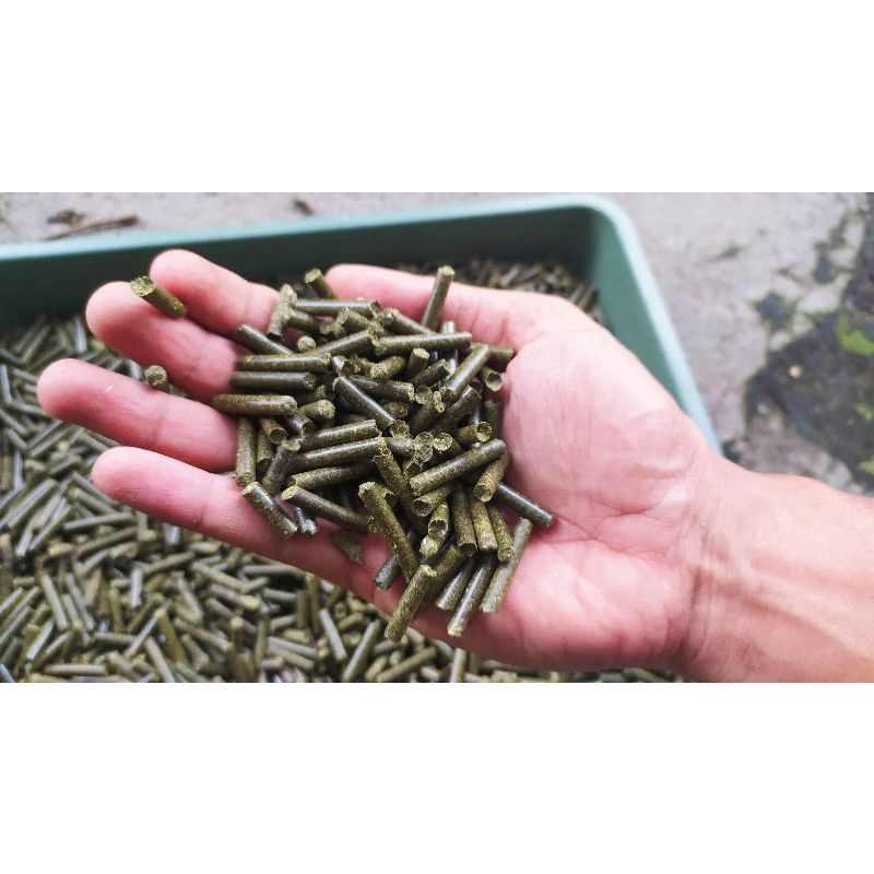 Jual pelet rumput odot / pelet rumput | Shopee Indonesia