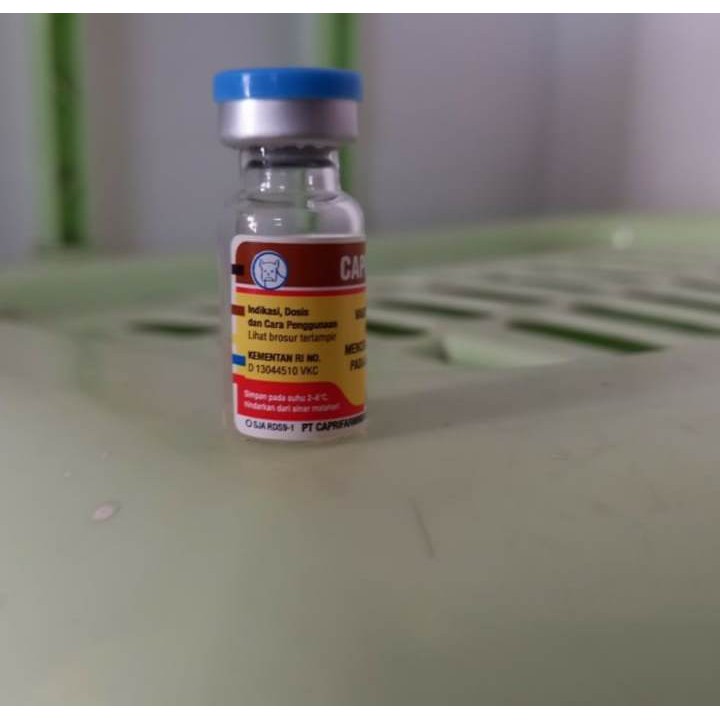 Jual Vaksin rabies inaktif caprivac RBS untuk anjing kucing | Shopee ...