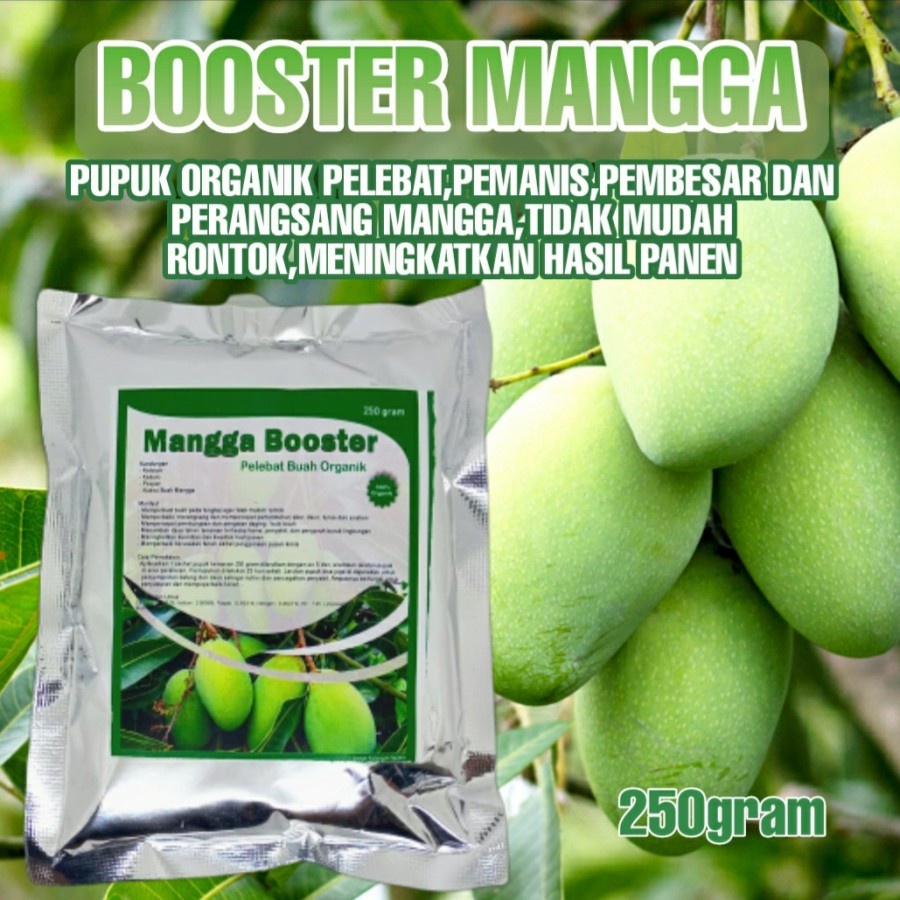 Jual Pupuk Mangga Booster Organik Pelebat Pemanis Anti Rontok Buah ...