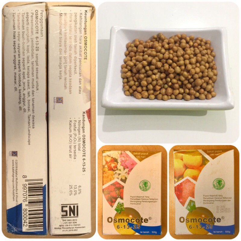 Jual Repack 50gr Pupuk Slow Release Dekastar OSMOCOTE 6 13 25 Utk
