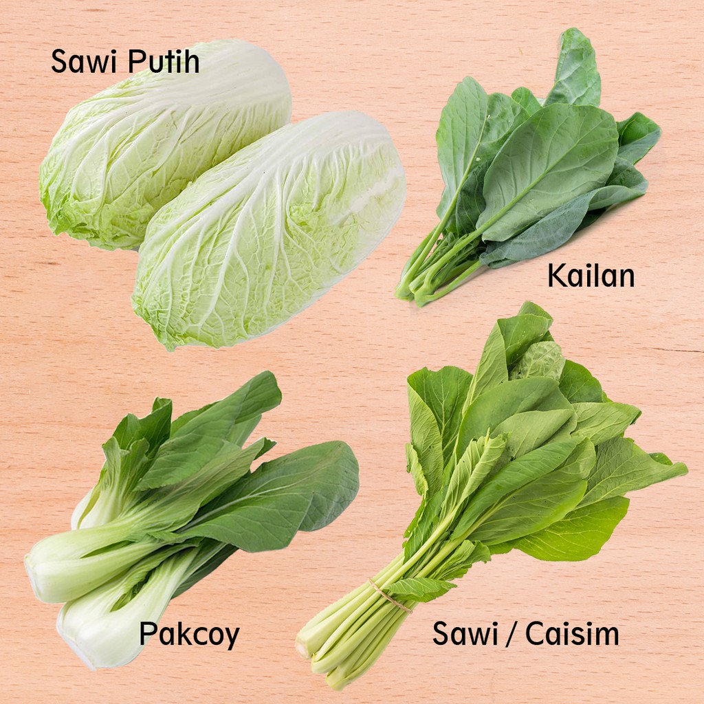 Jual Sayur Segar Sawi Putih Pakcoy Kailan Caisim Sawi Segar Sayur