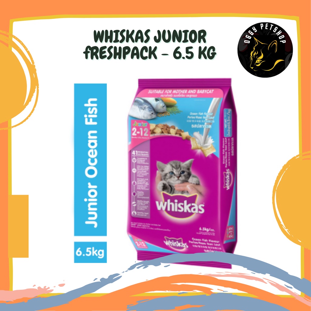 Jual WHISKAS Junior Makanan Kucing Kering Freshpack 6.5 Kg Ocean Fish Milky Shopee Indonesia