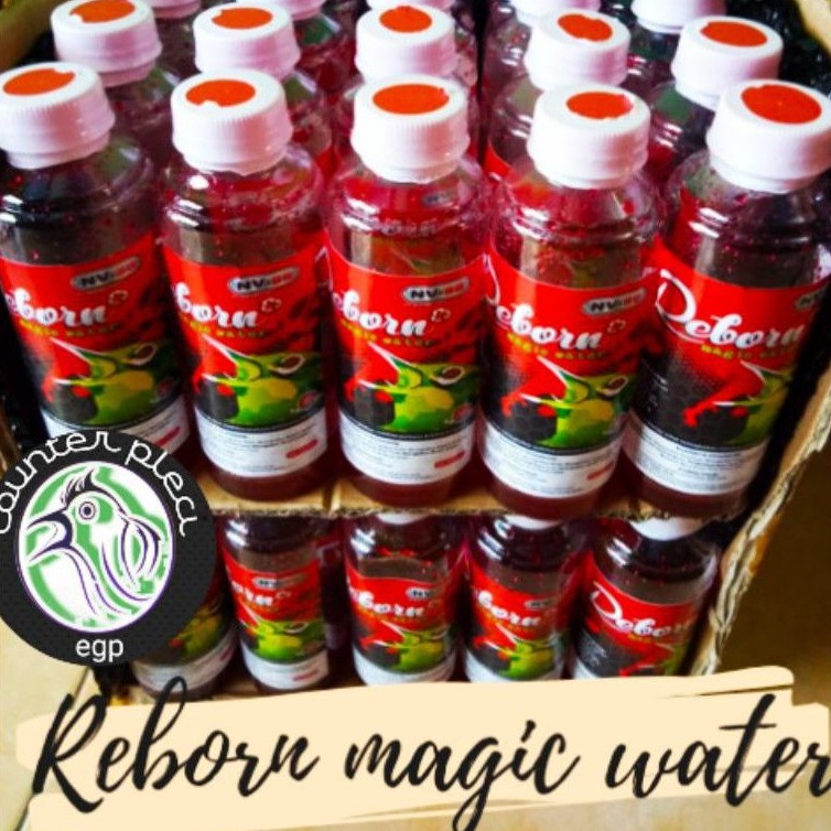 Jual REBORN MAGIC WATER PLECI DOPING PLECI REBORN MAGIC WATER NV-88 ...