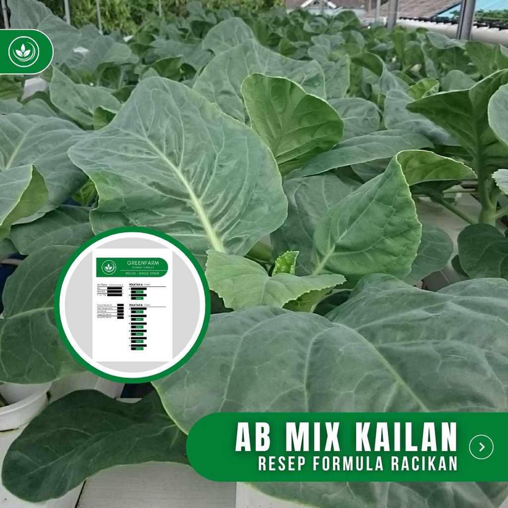 Jual Resep AB Mix Kailan Formula Racikan Nutrisi AB Mix Kailan | Shopee ...