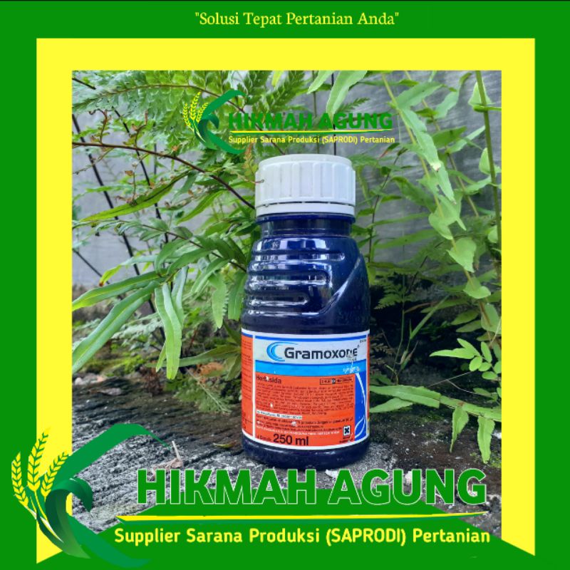 Jual Gramoxone 276sl Kemasan 250 Ml Herbisida Racun Pembasmi Rumput