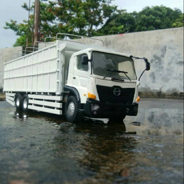 Rc truck hot sale hino