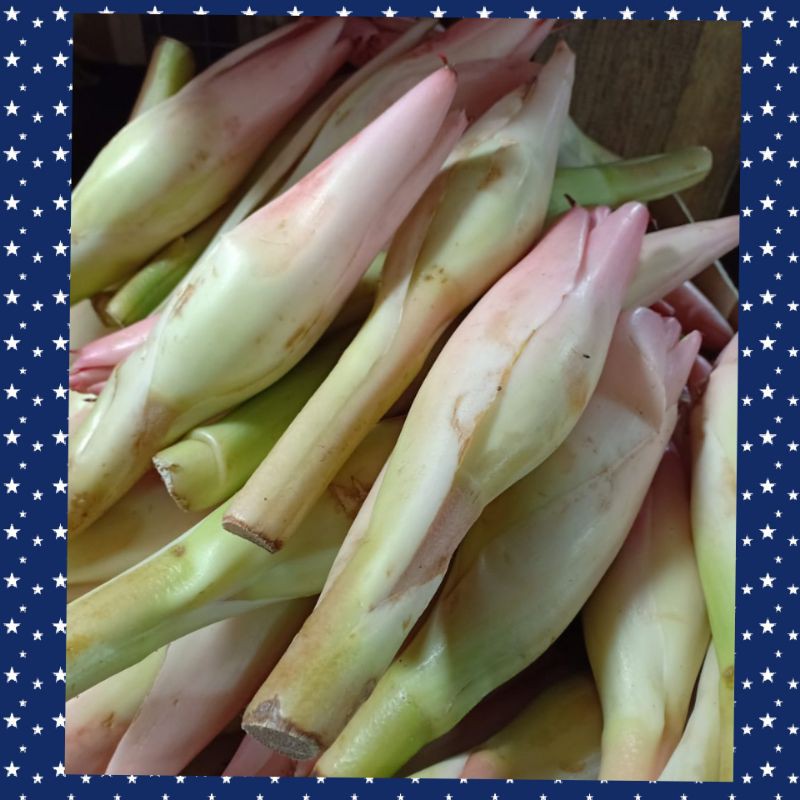 Jual Bunga rias , kencong ,Kecombrang ,kincong,bunga rias 500grm ...