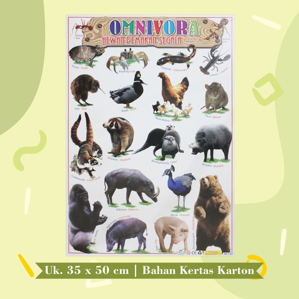 Jual Poster Edukasi Anak Mainan Edukasi Anak Lembaran : Herbivora