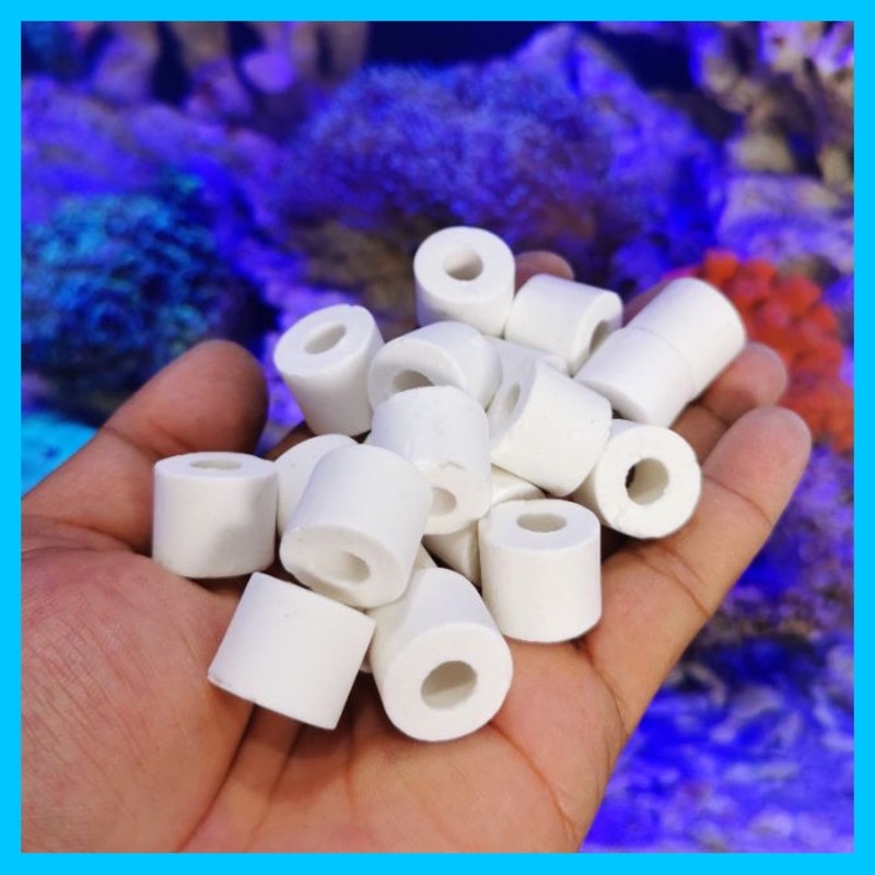 Jual BIO RING MEDIA FILTER AQUARIUM BIORING CERAMIC Shopee Indonesia