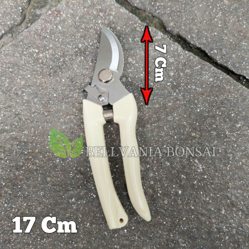 Jual Gunting Dahan Dan Ranting Kingart Panjang 17 Cm | Shopee Indonesia
