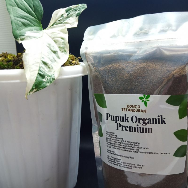 Jual Pupuk Organik Premium Direkomendasikan Untuk Tanaman Variegata Shopee Indonesia