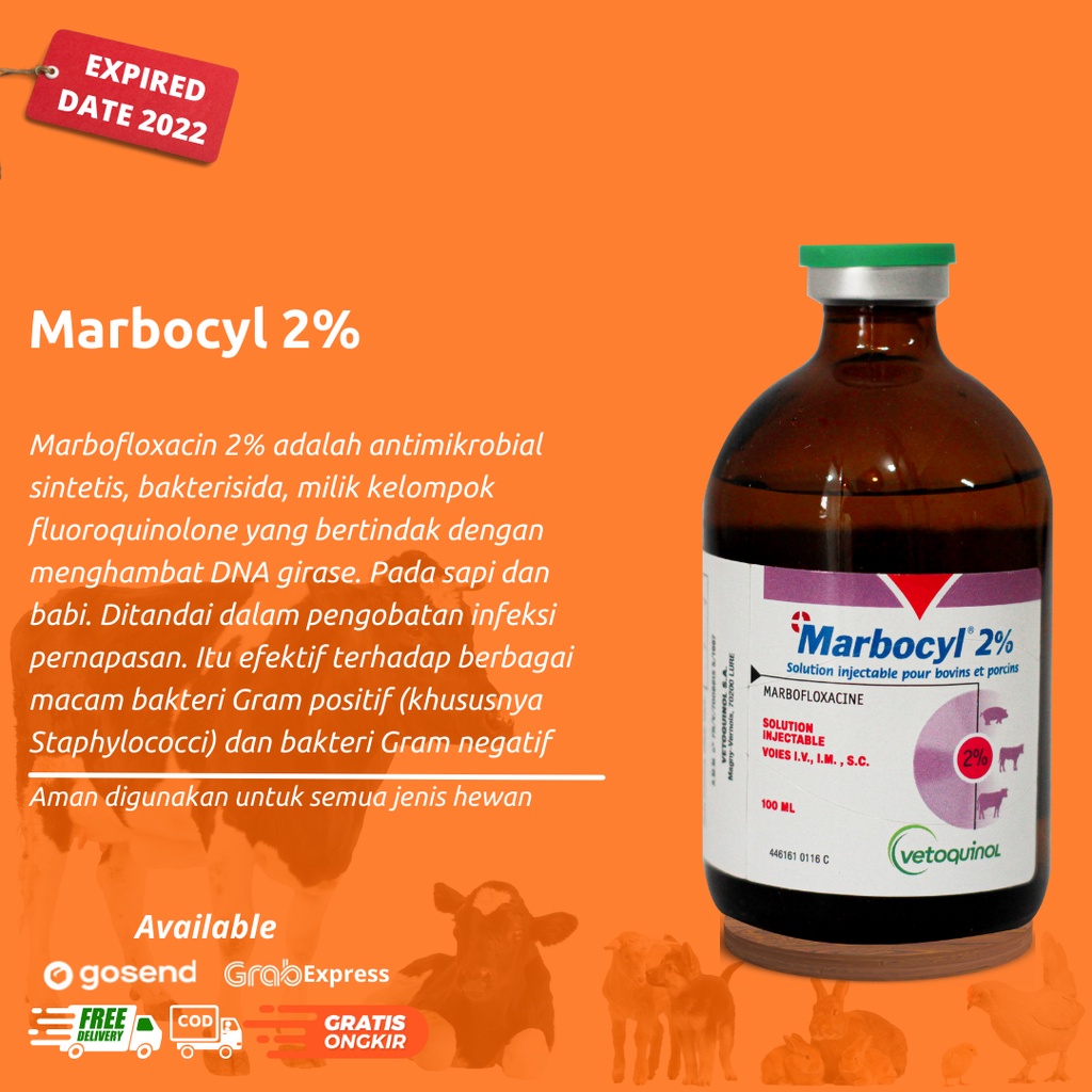 Jual QW34TH MARBOCYL 2% 100ml (Marbofloxacin) | Shopee Indonesia