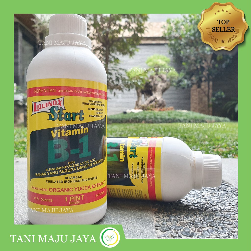 Jual VITAMIN B1 LIQUINOX 470 Ml ASLI! ZPT Hormon Pupuk | Shopee Indonesia