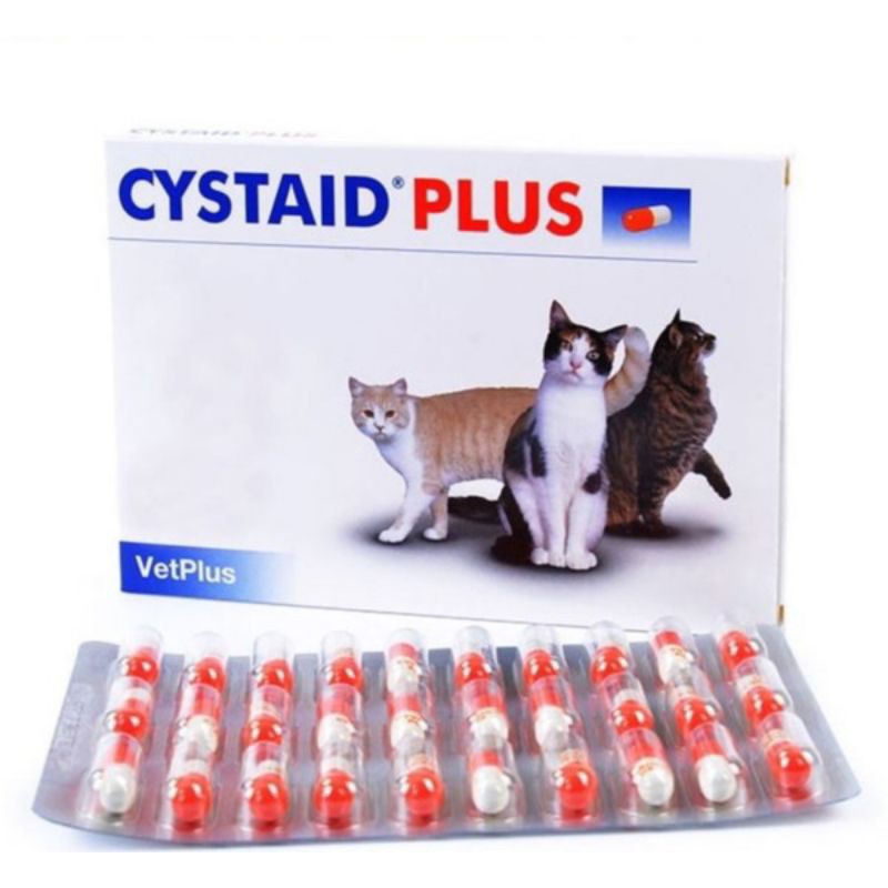 Jual Cystaid Plus Cat per tablet | Shopee Indonesia