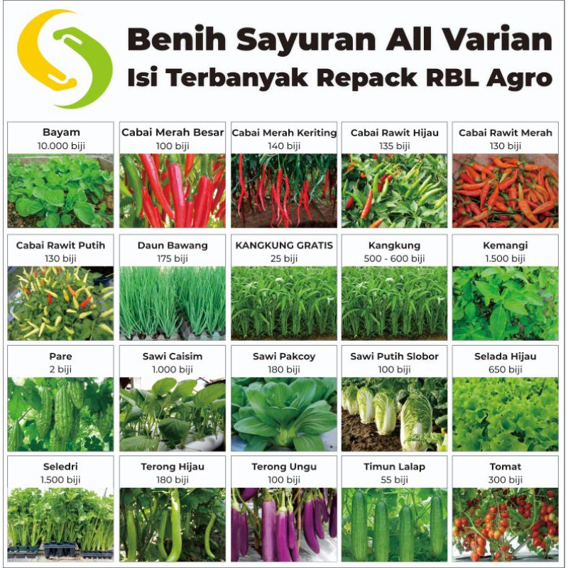 Jual Isi Terbanyak Benih Bibit Sayuran Kangkung Bayam Selada Caisim