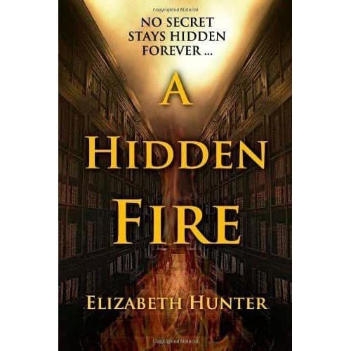 Jual A Hidden Fire by Hunter Elizabeth (SC) | Shopee Indonesia