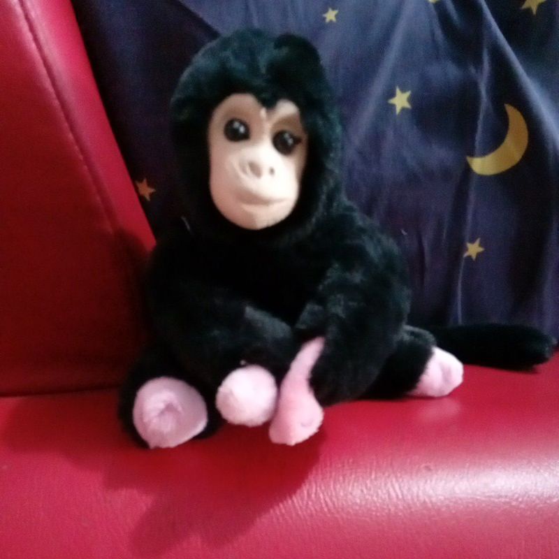 Jual boneka kera | Shopee Indonesia