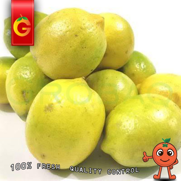 Jual Lemon Lokal Fresh Kg Shopee Indonesia