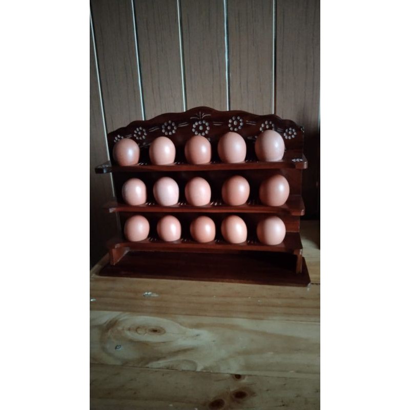 Jual Rak telur / tempat telur | Shopee Indonesia