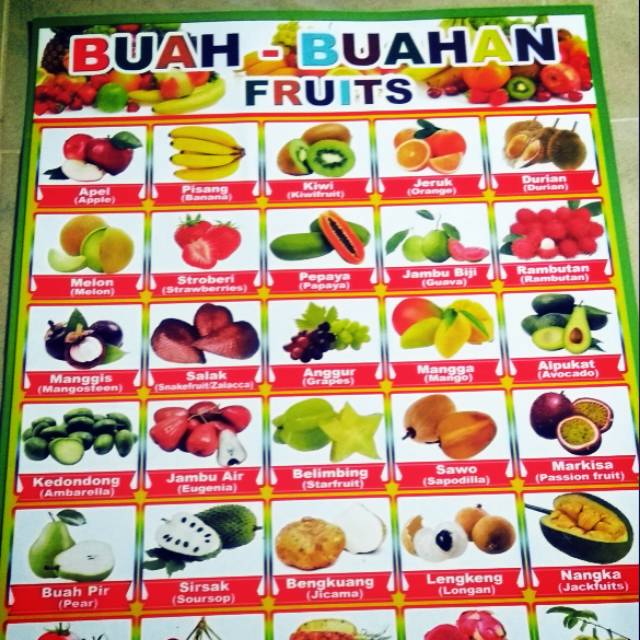 Jual Poster Buah Buahan Shopee Indonesia