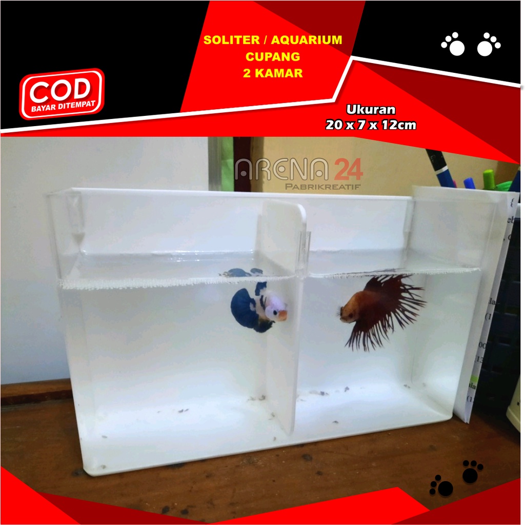 Jual Aquarium Soliter Akrilik Soliter Cupang Acrylic Ikan Cupang Shopee Indonesia 