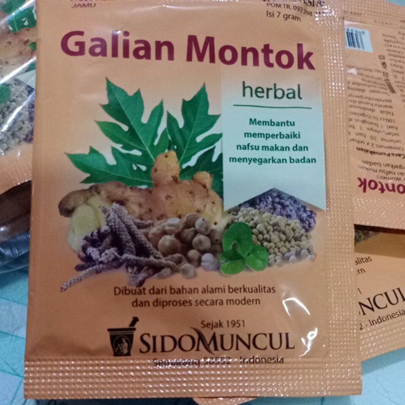 Jual Galian Montok Sidomuncul Shopee Indonesia