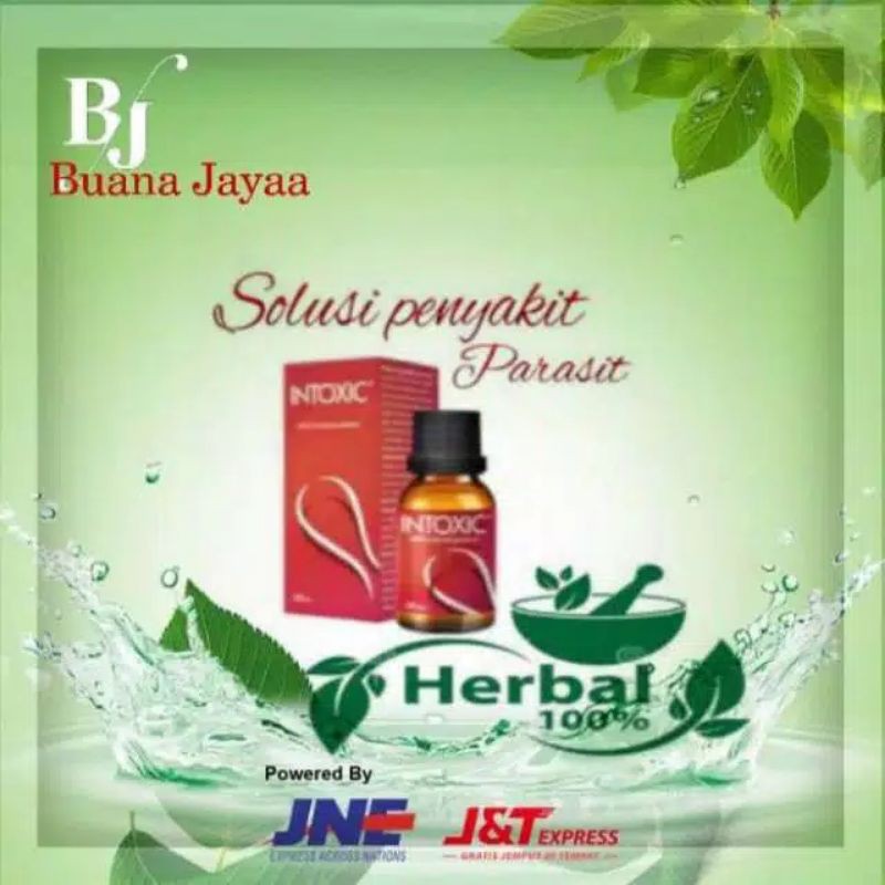 Jual Terampuh Intoxic Obat anti Parasit Cair Pria/Wanita 100% Asli ...